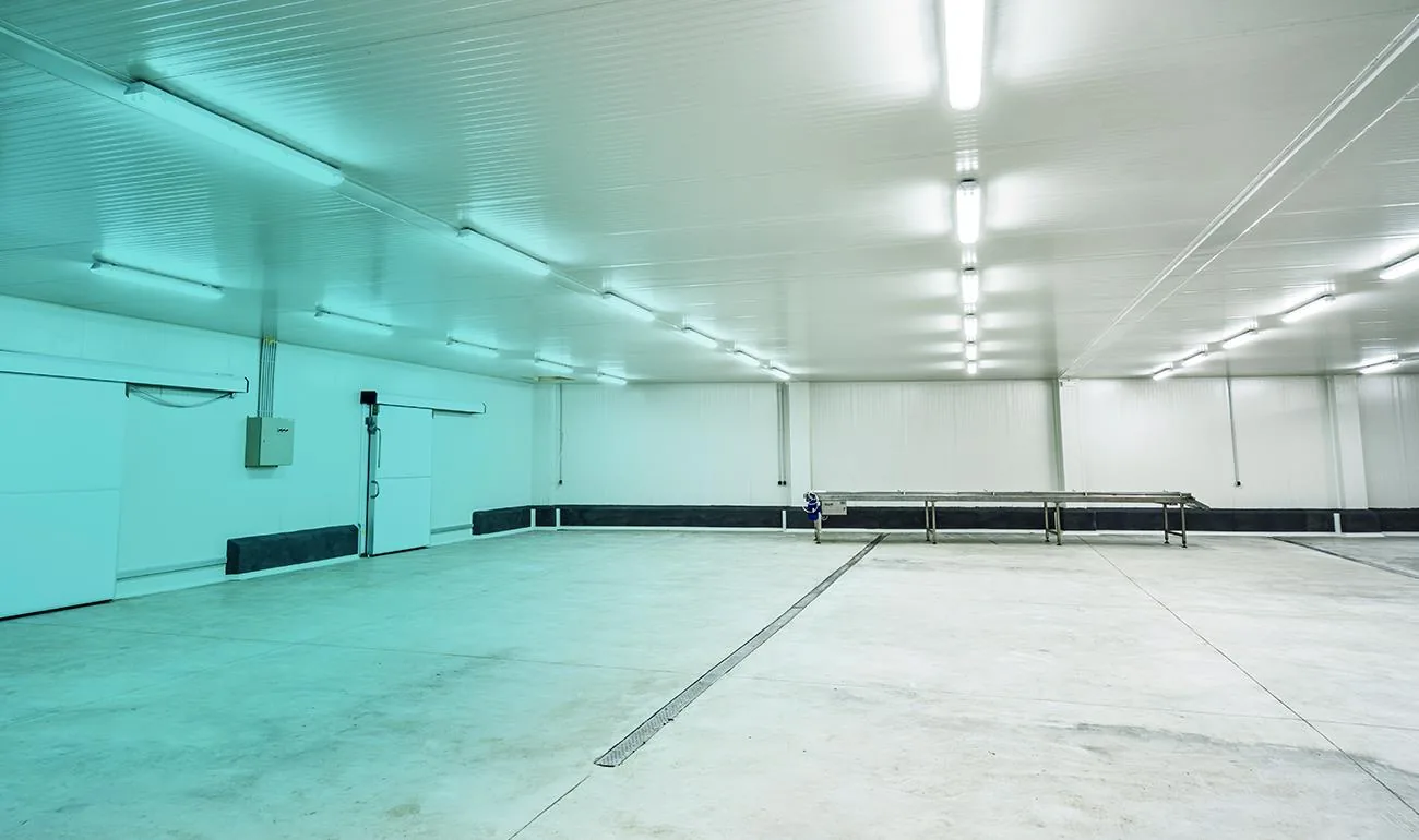 Innenansicht eines fertig aufgebauten Kühlraums mit Beleuchtung